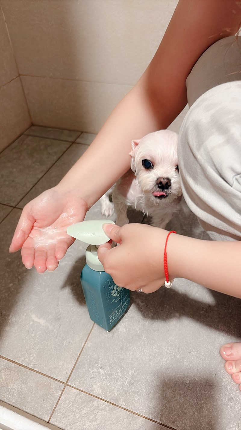 女人知己試用大隊,口碑行銷,部落客行銷,Goodmofamily歸毛家族 寵物肌膚救星組,歸毛家族 寵物肌膚救星,舒敏保濕洗毛乳,護膚噴液,精萃營養霜,博士30年生技專業,給足皮膚營養保護力,無抗生素 無類固醇,神經醯胺,19種綜合胺基酸,榮獲SNQ國家認證,上萬毛爸媽見證,3週幫助皮膚健康,NO.1寵物肌膚口碑霸主,寵物第一護膚領導品牌